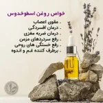 هنرجویان فتوشاپ کاربردی (15)